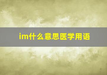 im什么意思医学用语