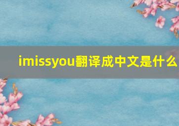 imissyou翻译成中文是什么