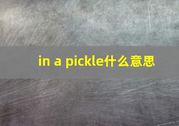 in a pickle什么意思