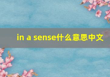 in a sense什么意思中文