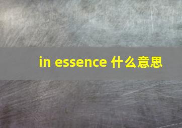 in essence 什么意思