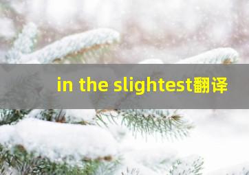 in the slightest翻译