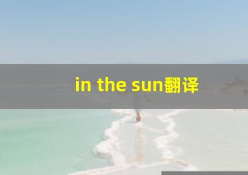 in the sun翻译