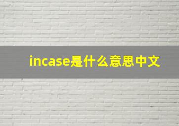 incase是什么意思中文