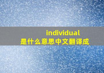 individual是什么意思中文翻译成