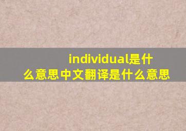 individual是什么意思中文翻译是什么意思