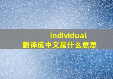 individual翻译成中文是什么意思