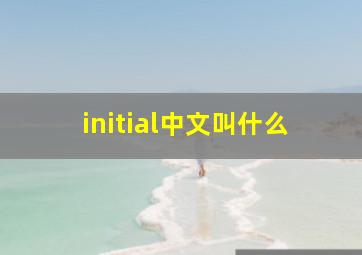 initial中文叫什么