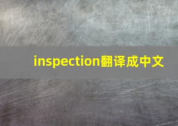 inspection翻译成中文