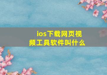 ios下载网页视频工具软件叫什么