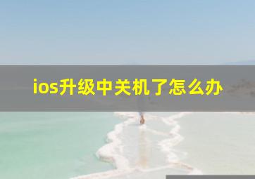 ios升级中关机了怎么办