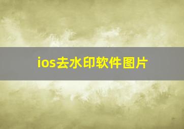 ios去水印软件图片