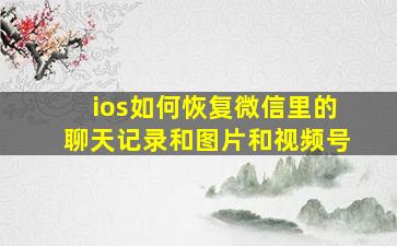 ios如何恢复微信里的聊天记录和图片和视频号