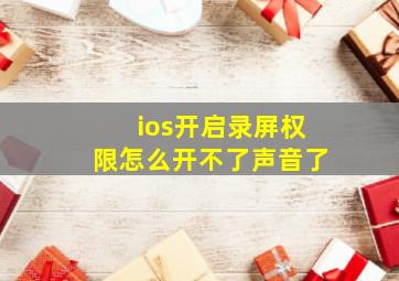 ios开启录屏权限怎么开不了声音了