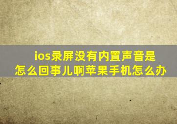 ios录屏没有内置声音是怎么回事儿啊苹果手机怎么办