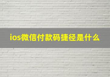 ios微信付款码捷径是什么