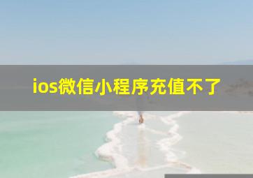 ios微信小程序充值不了