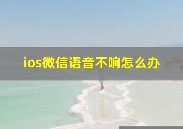 ios微信语音不响怎么办