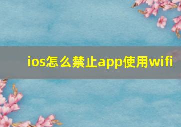 ios怎么禁止app使用wifi