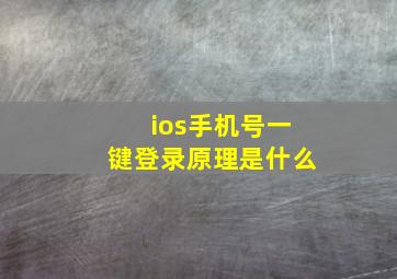 ios手机号一键登录原理是什么