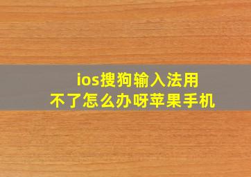 ios搜狗输入法用不了怎么办呀苹果手机