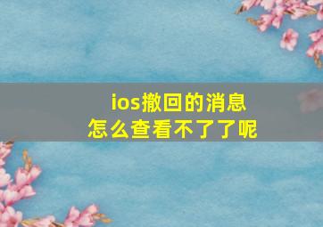 ios撤回的消息怎么查看不了了呢