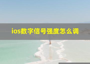 ios数字信号强度怎么调