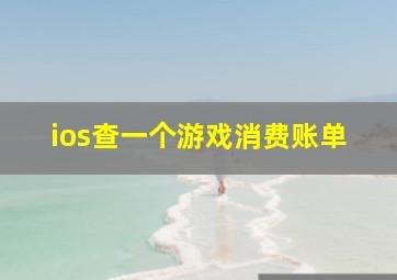 ios查一个游戏消费账单