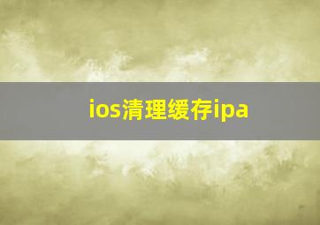 ios清理缓存ipa