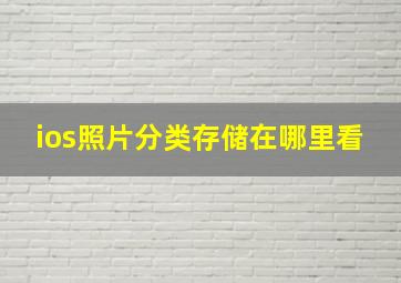 ios照片分类存储在哪里看