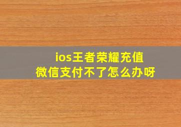 ios王者荣耀充值微信支付不了怎么办呀