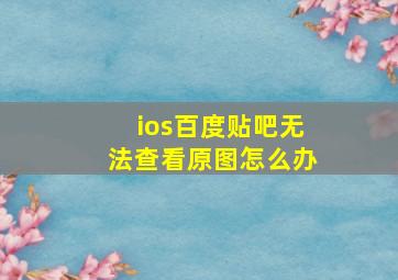 ios百度贴吧无法查看原图怎么办