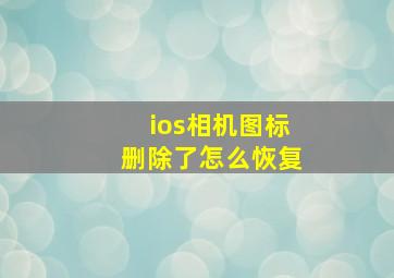 ios相机图标删除了怎么恢复