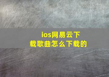 ios网易云下载歌曲怎么下载的