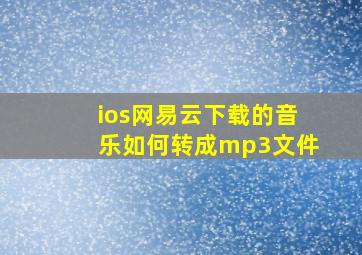 ios网易云下载的音乐如何转成mp3文件