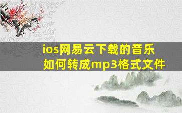 ios网易云下载的音乐如何转成mp3格式文件