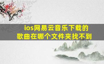 ios网易云音乐下载的歌曲在哪个文件夹找不到