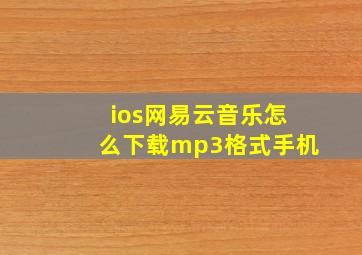 ios网易云音乐怎么下载mp3格式手机