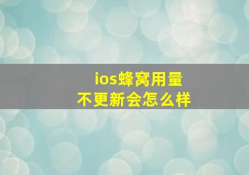 ios蜂窝用量不更新会怎么样