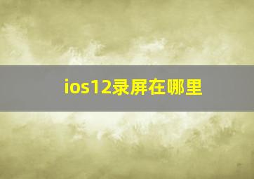 ios12录屏在哪里