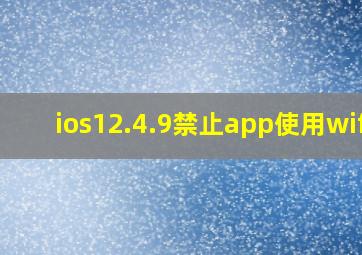 ios12.4.9禁止app使用wifi