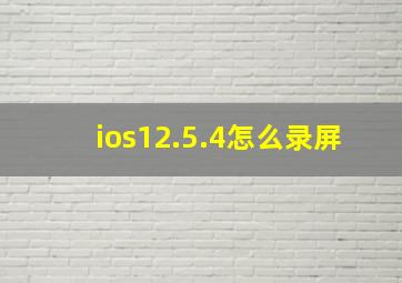 ios12.5.4怎么录屏