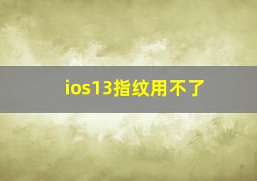 ios13指纹用不了