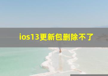 ios13更新包删除不了