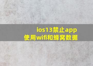 ios13禁止app使用wifi和蜂窝数据