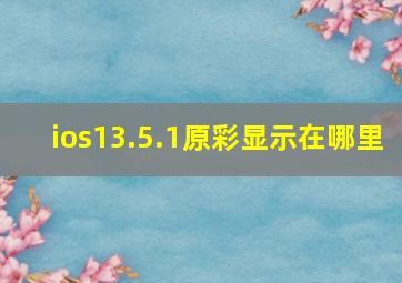 ios13.5.1原彩显示在哪里