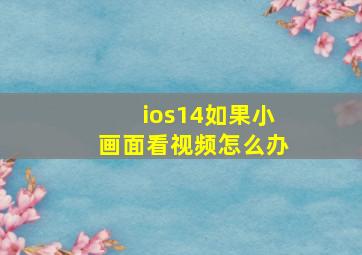 ios14如果小画面看视频怎么办