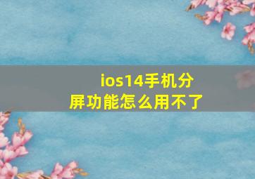 ios14手机分屏功能怎么用不了