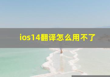 ios14翻译怎么用不了