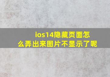 ios14隐藏页面怎么弄出来图片不显示了呢